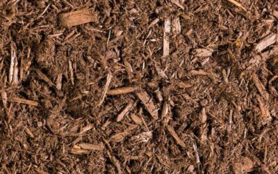 The Power of Mulch: The Benefits It Provides